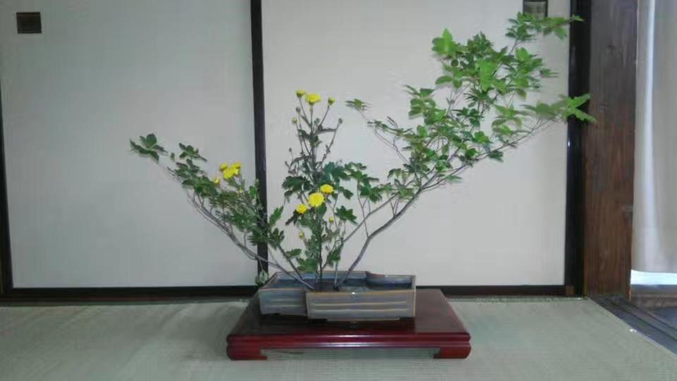 Guest House 鎌倉記憶 คามาคุระ ภายนอก รูปภาพ